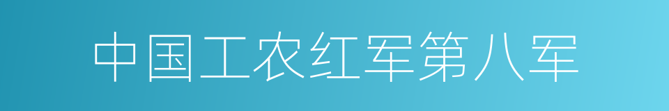 中国工农红军第八军的同义词