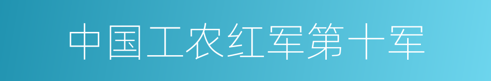 中国工农红军第十军的同义词