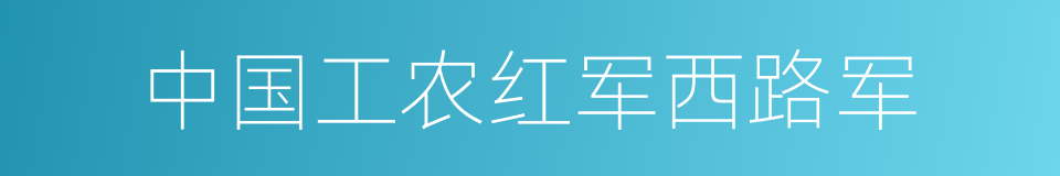 中国工农红军西路军的同义词