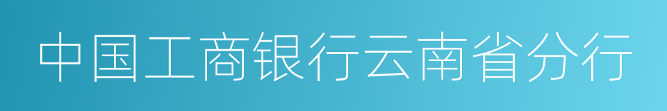 中国工商银行云南省分行的同义词