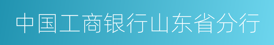 中国工商银行山东省分行的同义词