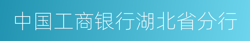 中国工商银行湖北省分行的同义词