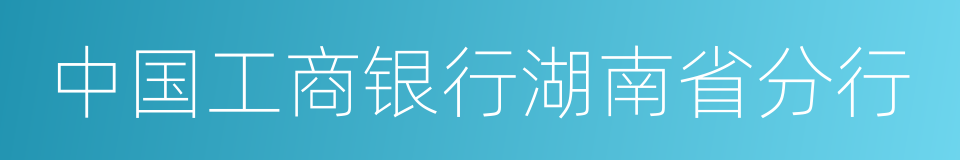 中国工商银行湖南省分行的同义词