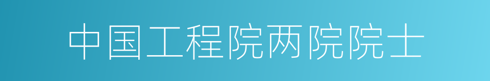 中国工程院两院院士的同义词