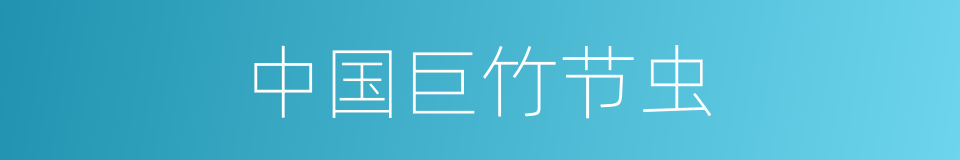 中国巨竹节虫的同义词