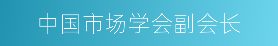 中国市场学会副会长的同义词