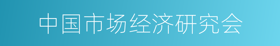 中国市场经济研究会的同义词