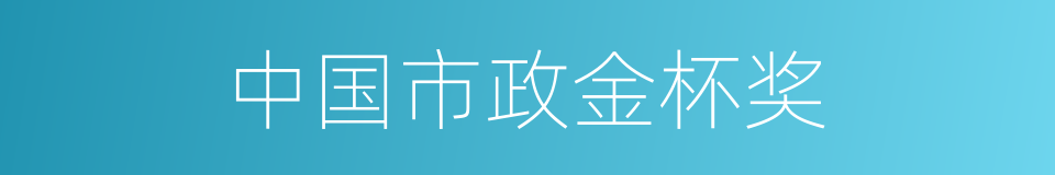 中国市政金杯奖的同义词