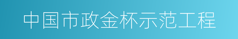 中国市政金杯示范工程的同义词