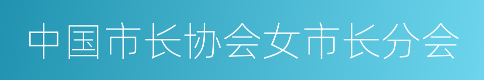 中国市长协会女市长分会的同义词