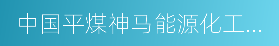 中国平煤神马能源化工集团有限责任公司的同义词