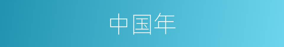 中国年的同义词