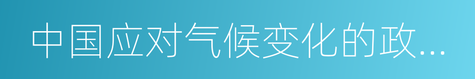 中国应对气候变化的政策与行动的同义词