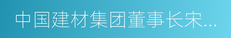 中国建材集团董事长宋志平的同义词