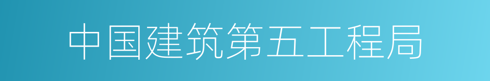 中国建筑第五工程局的同义词