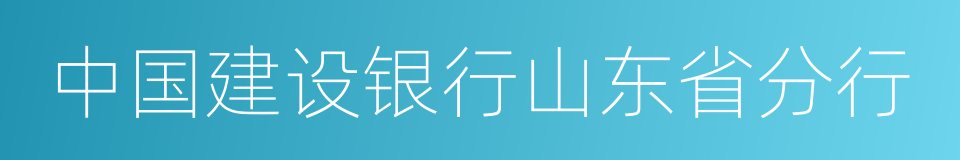 中国建设银行山东省分行的同义词