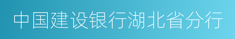 中国建设银行湖北省分行的同义词