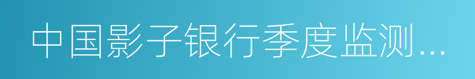 中国影子银行季度监测报告的同义词