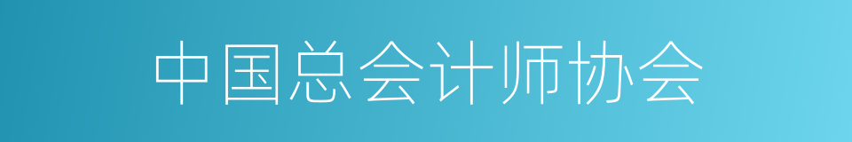 中国总会计师协会的同义词