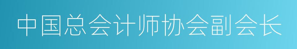 中国总会计师协会副会长的同义词