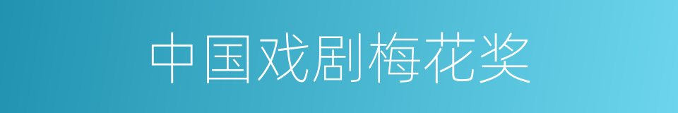 中国戏剧梅花奖的同义词