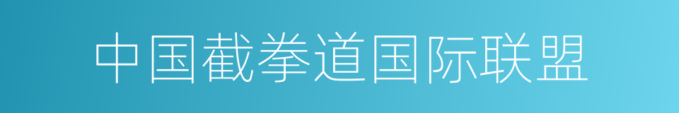 中国截拳道国际联盟的同义词
