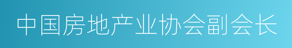 中国房地产业协会副会长的同义词