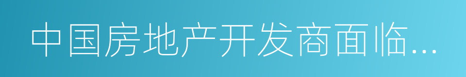 中国房地产开发商面临放缓压力，但影响可控的同义词