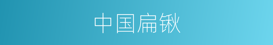 中国扁锹的同义词