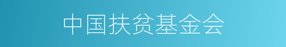 中国扶贫基金会的同义词