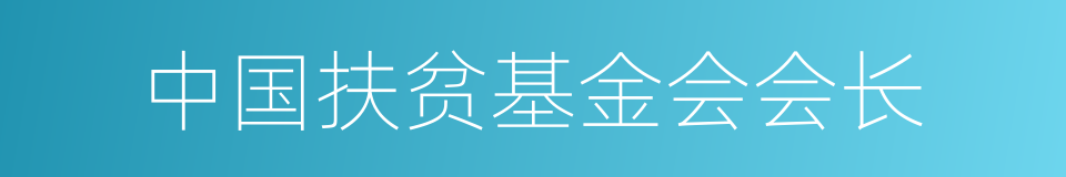 中国扶贫基金会会长的同义词