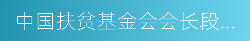 中国扶贫基金会会长段应碧的同义词