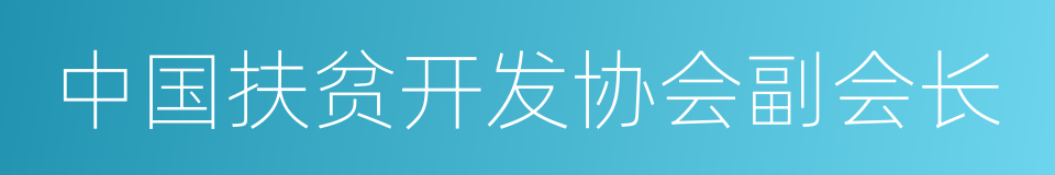 中国扶贫开发协会副会长的同义词