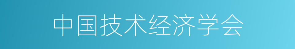 中国技术经济学会的同义词