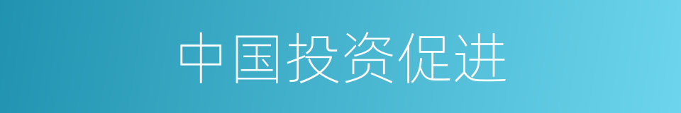 中国投资促进的同义词