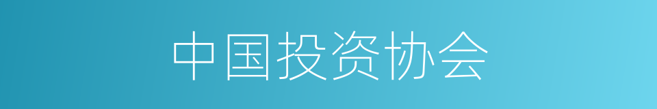 中国投资协会的同义词