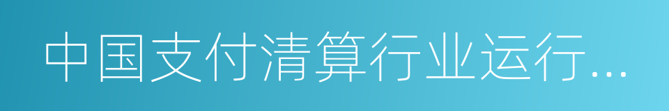 中国支付清算行业运行报告的同义词