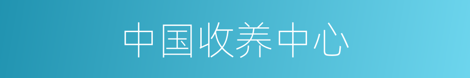 中国收养中心的同义词