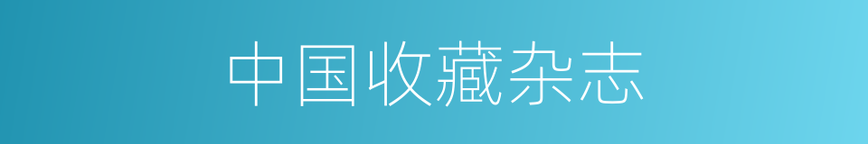 中国收藏杂志的同义词