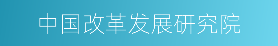 中国改革发展研究院的同义词