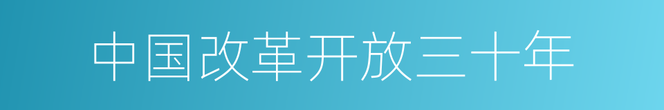 中国改革开放三十年的同义词