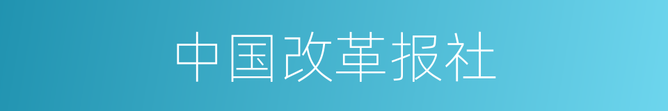 中国改革报社的同义词