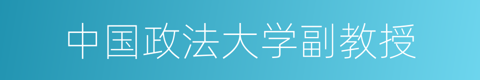 中国政法大学副教授的同义词