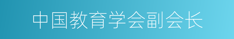 中国教育学会副会长的同义词