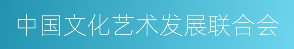 中国文化艺术发展联合会的同义词