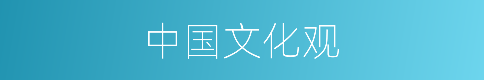 中国文化观的同义词