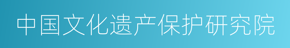 中国文化遗产保护研究院的同义词