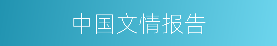 中国文情报告的同义词