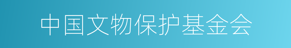 中国文物保护基金会的同义词