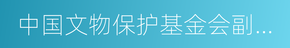 中国文物保护基金会副会长的同义词